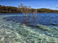 em IMG_4176 Mckenze lake on Fraser Island