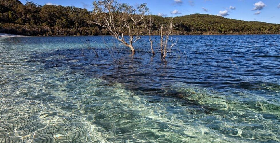 em IMG_4176 Mckenze lake on Fraser Island