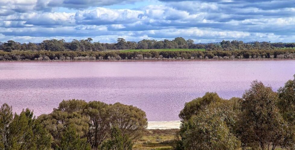 em IMG_5168 Pink Lake