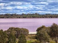 em IMG_5168 Pink Lake