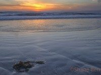 6- Morro Bay Beach