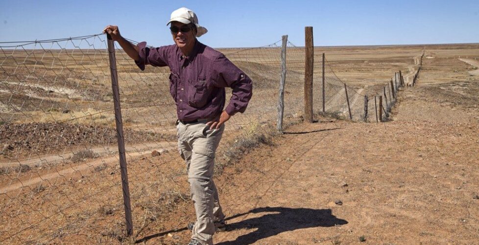13-em IMG_4906 Dingo Fence-Biggest in World