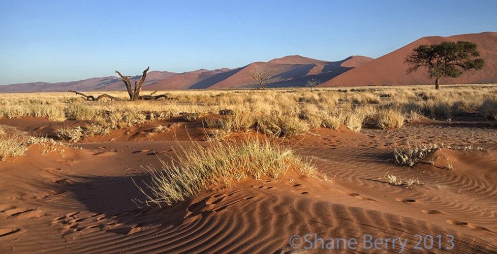 3-Desert Sand Patterns