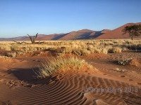 3-Desert  Sand Patterns