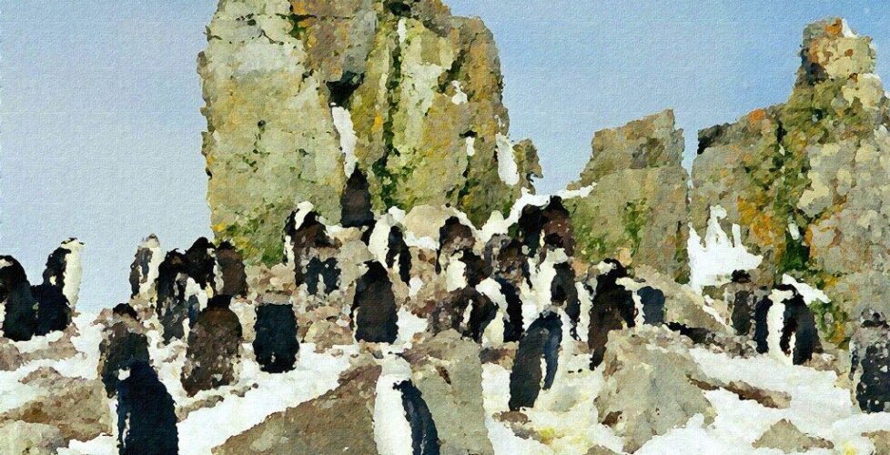 Chinstrap Penquins, Half Moon Island done CR, Antarctica 2004