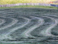 24a-Plowed fields on Sognefjellet Road