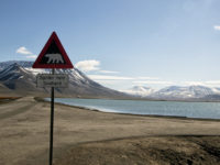 3-Polar Bear sign at Longyearbyen which is the most northern town (2,000 people) in the world