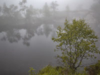 32-Hiking by foggy lake to Pulpit Rock (Preikestolen),Norway