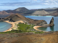 15-Ecuador and the Galapagos-Barthomele Island, Galapagos