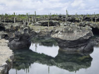 16-Ecuador and the Galapagos-The Tunnels, Isabella Inland, Galapagos