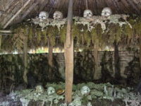 9- Medicine Man's Hut of Kusum Tribe, Mt. Hagen, Papua New Guinea